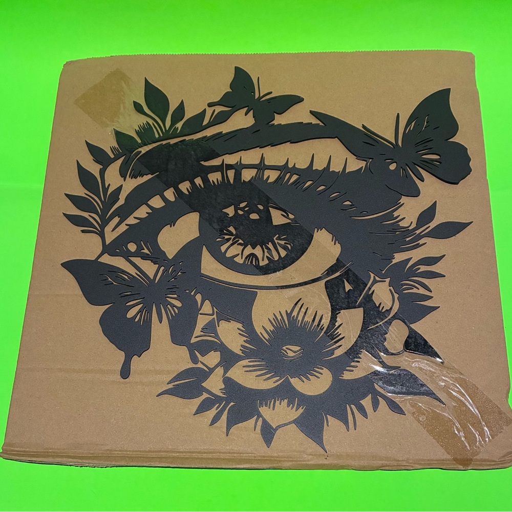 Stunning Eye and Butterfly  Metal Wall Art